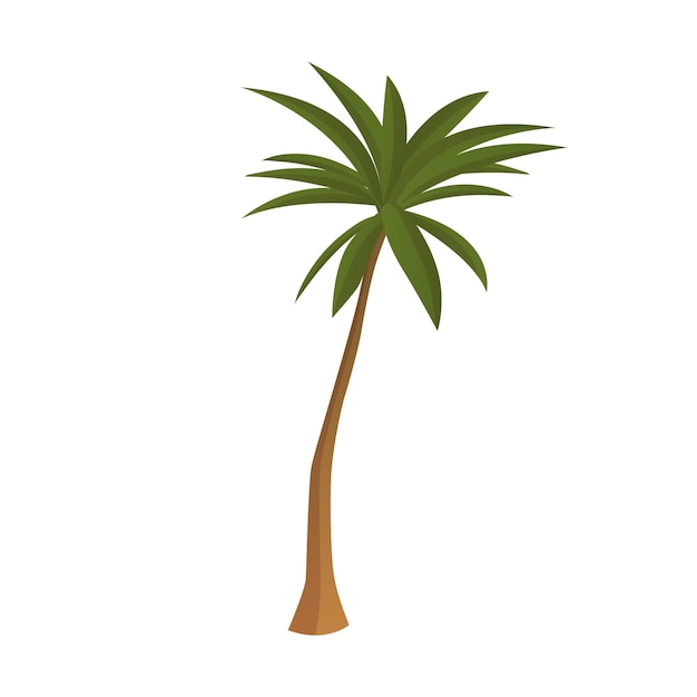 Realistic tall green palm tree isolated on white background  Vector illustration