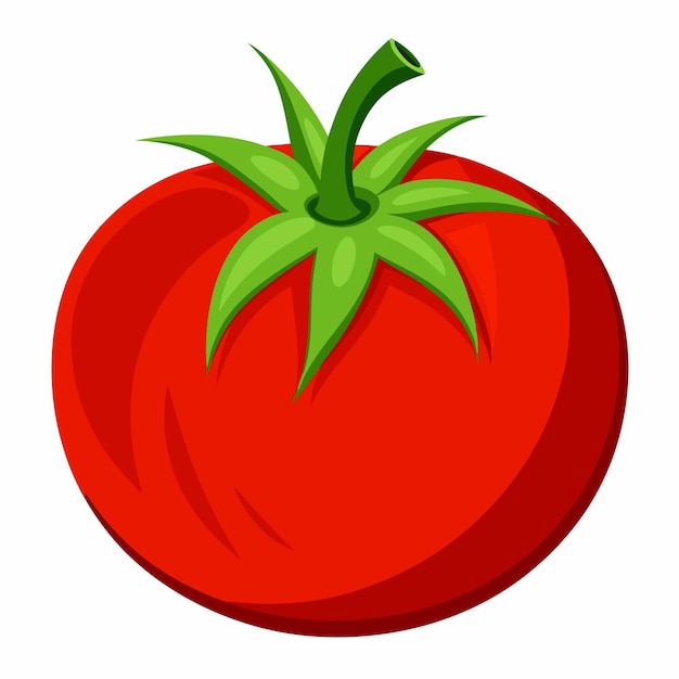 realistic tomato on white background