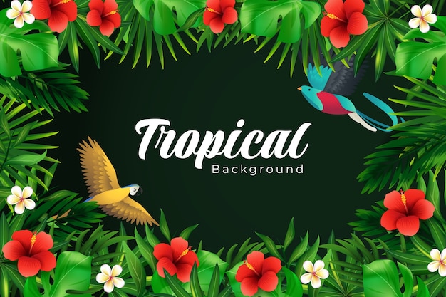 Realistic tropical background