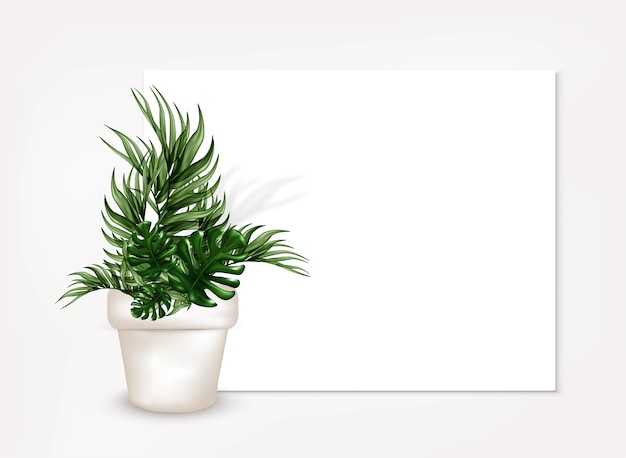 Vector realistic tropical leaves in a white pot.