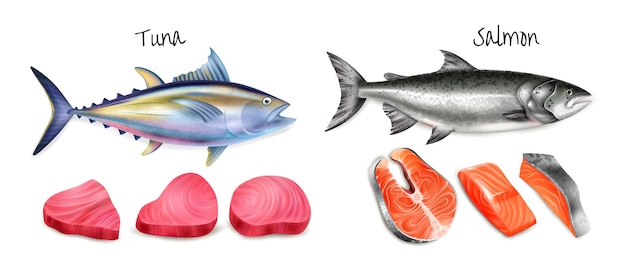 Vector realistic tuna salmon steak icon set whole carcasses of two kinds of fish and raw fish pieces vector illustration