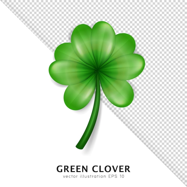 Realistic vector green clover on transparent background Irish trefoil shamrock for St Patrick Day