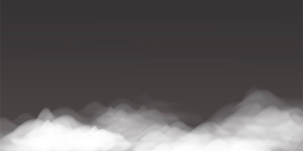 Vector realistic vector illustration of fog or clouds white and black background