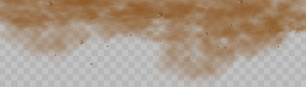 Realistic vector isolated dust  on a transparent background