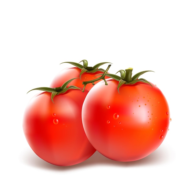 Realistic vector Tomato