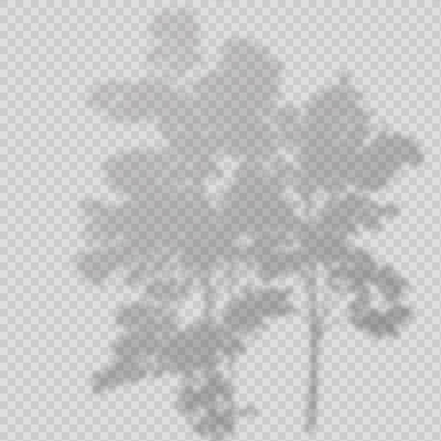 Vector realistic vector transparent overlay blured shadow of branch leaves