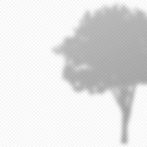 Vector realistic vector transparent overlay blured shadow of tree leaves. design element for presentations and mockups. overlay effect of tree shadow.