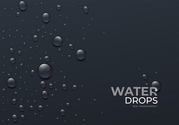 Realistic Water Drops on Black Background, Real Transparent Effect. Vector illustration EPS10