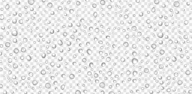 Vector realistic water drops on transparent background