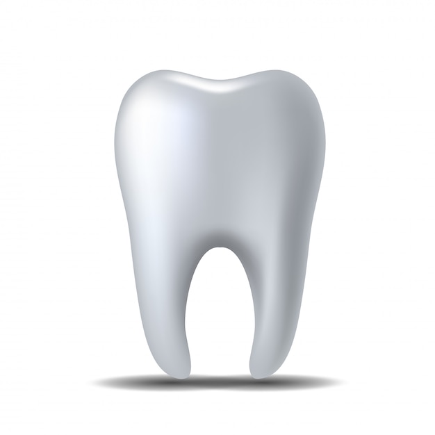 Realistic white Tooth isolated