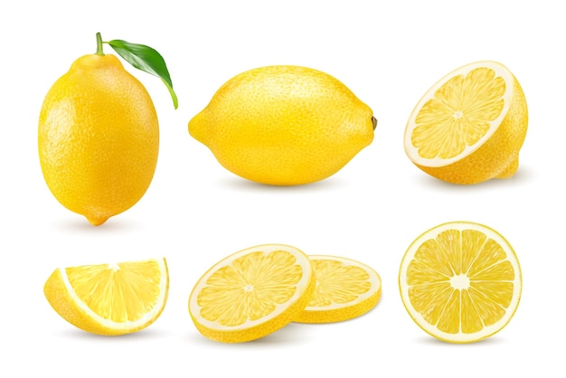 Realistic yellow lemon whole citrus fruit slice