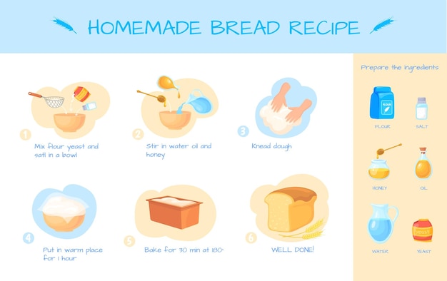 Vector recipe prepare bread preparation dough ingredient for cook baking on yeast preparing cooking healthy homemade food layout for bakery hand made flour cartoon neat vector icon