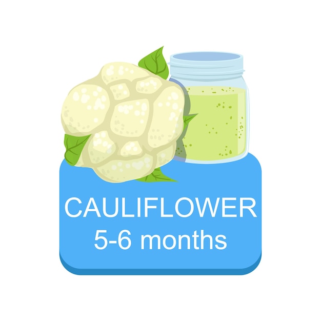 Recommended Time To Feed The Baby With Fresh Cauliflower Cartoon Info Sticker Vegetable And Puree In Jar