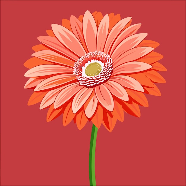 a red background with a flower and the word quot daisy quot on it