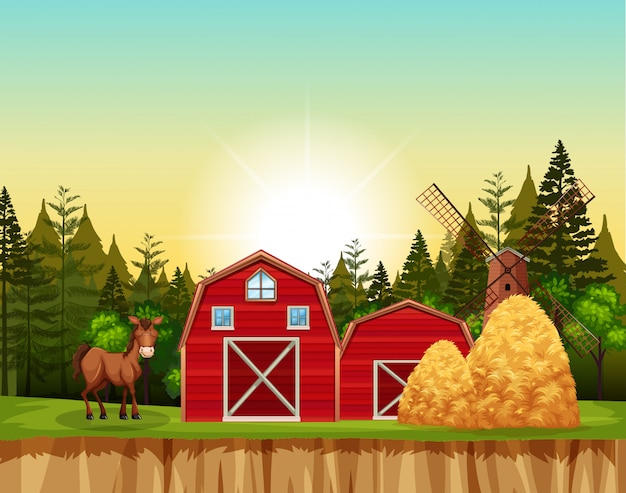 Red barn and horse scene