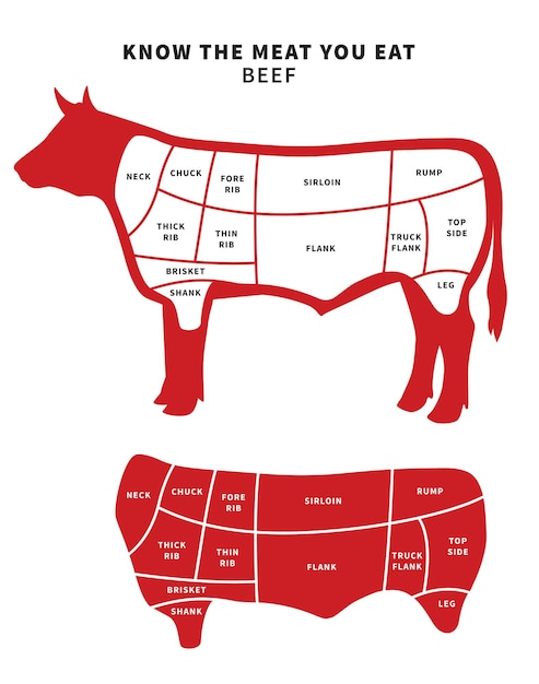 Red Beef Cuts Diagram for roast and steak. Vector illustration.