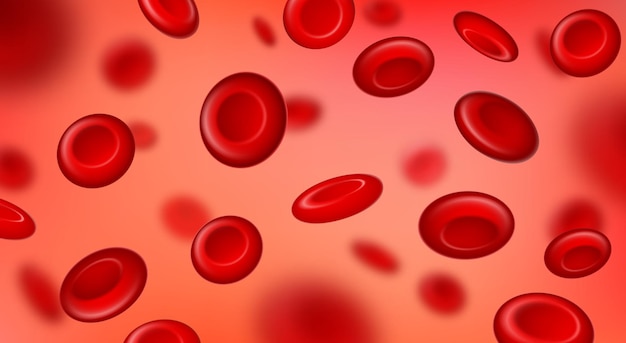 Red blood cells flow macro view erythrocyte background Realistic bloodstream circulation closeup Hematology medicine 3d vector concept