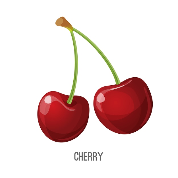 Red cherry vector illustration