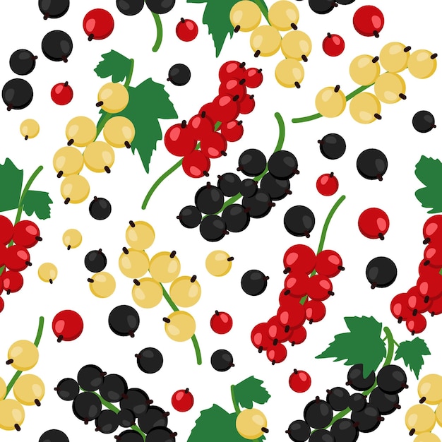 Red currant and Black currant seamless pattern. Vector background.