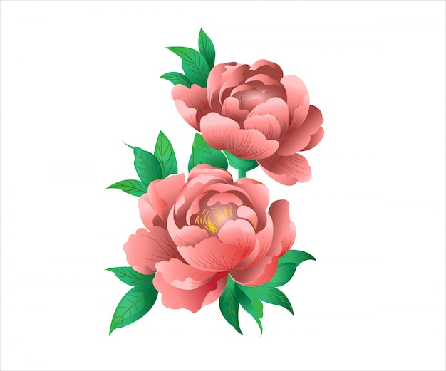 Red Floral illustration