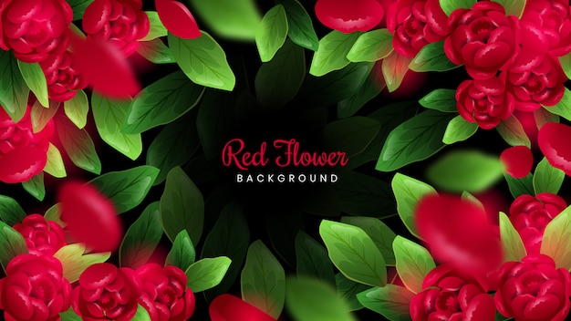 Red Flower Background