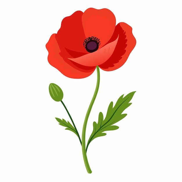 Vector a red flower with the word quot poppy quot on it