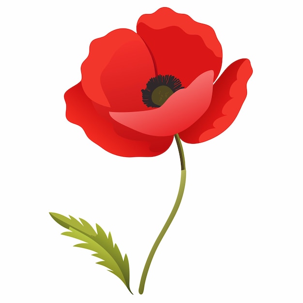 Vector a red flower with the word quot poppy quot on it