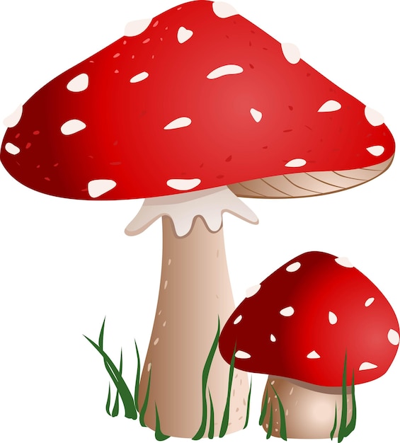 Red fly agaric mooshrooms with grass isolated