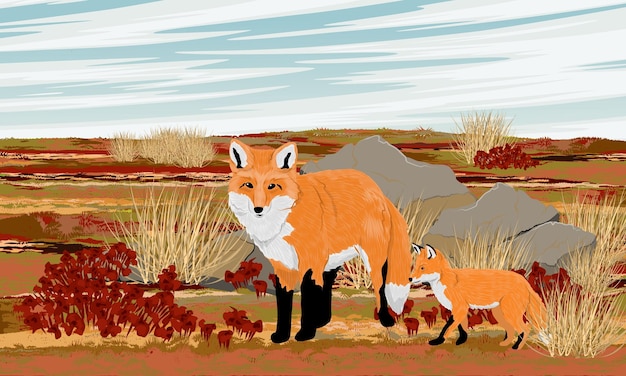 Vector a red fox and her cub are walking in the summer arctic realistic vector landscape