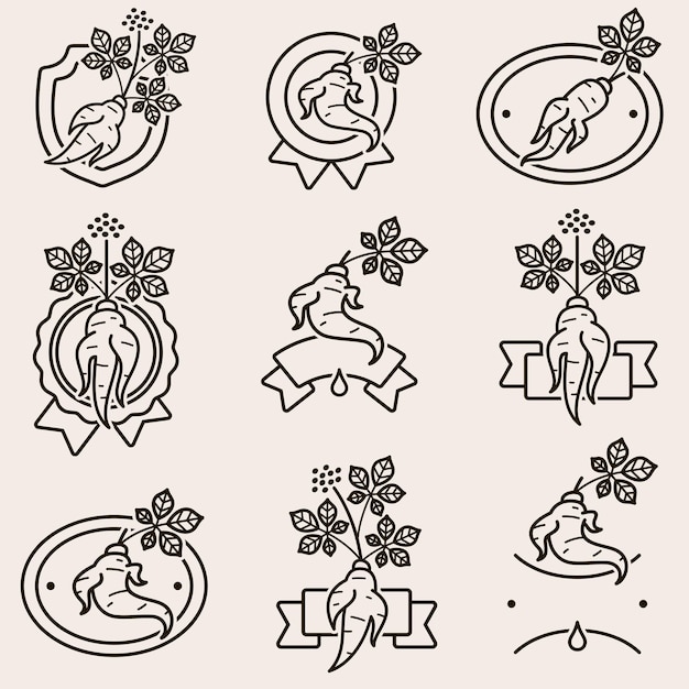 Red ginseng label and icon set Collection icon red ginseng Vector