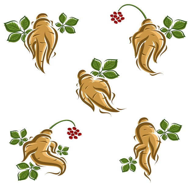 Red ginseng set Collection icon red ginseng Vector