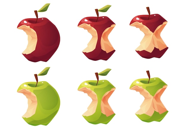 Red and green apple core set cartoon vector illustration