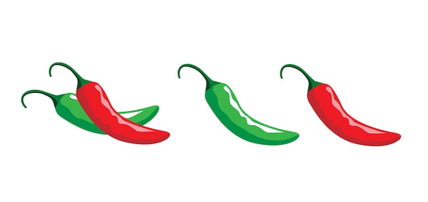 Red and green chili vector illustration