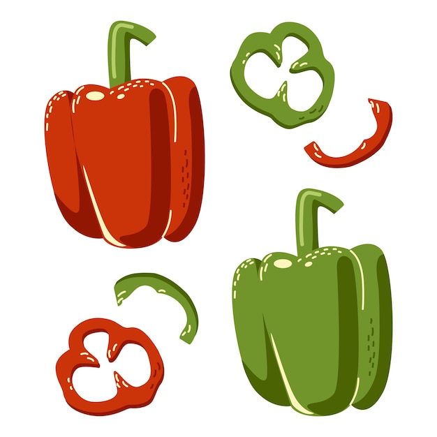 Red and green sweet peppers Garden vegetables Hand drawn illustration Isolated on white background