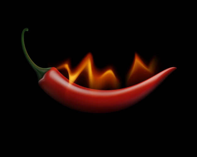 Red Hot Chili Pepper on Fire and Flame  on White Background