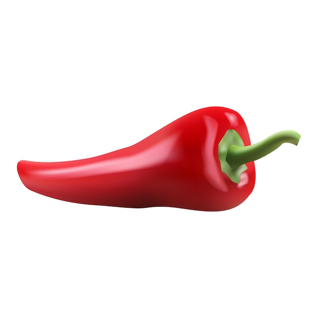 Red hot natural chili pepper pod realistic vector illustration.