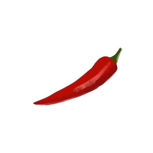 Red hot pepper illustration