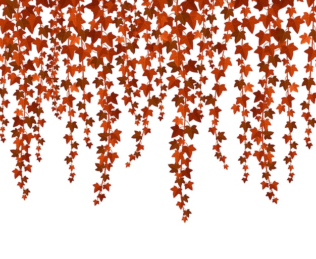 Red ivy branches flat illustration Creeper twigs with orange and brown leaves border isolated