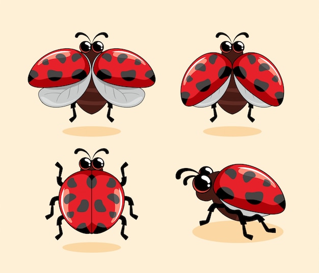 Red Ladybug Cartoon Coccinellidae Cute Animals Ladybird