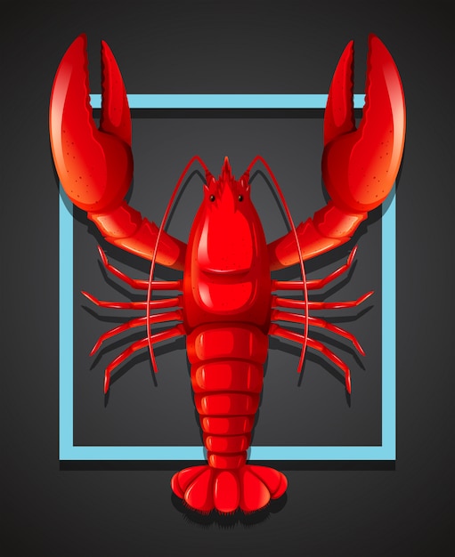 A red lobster on black template