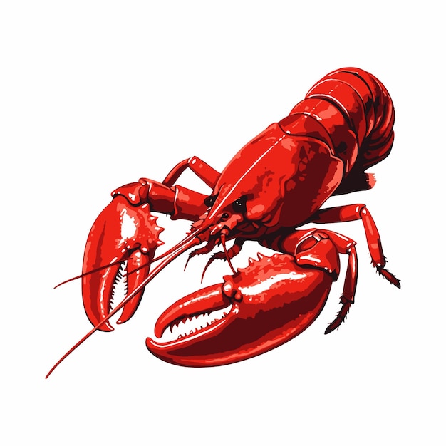 Red lobster seafood flat vector illustration