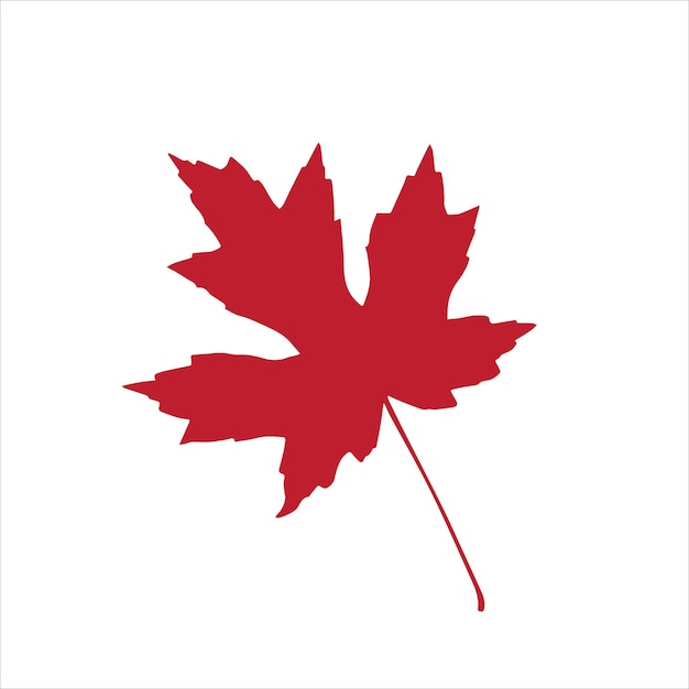 Red maple leaf isolated on a white background. Drawn by hand. Vector element