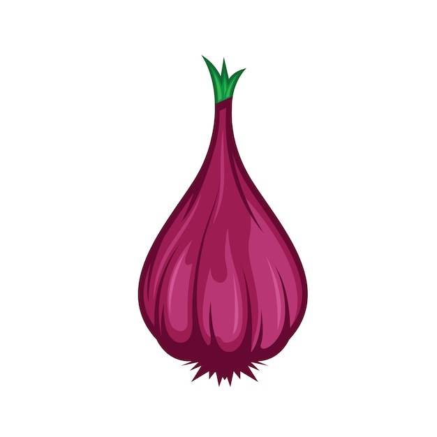 Red onion vector icon illustration design template