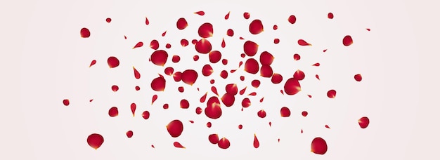 Red Petal Falling Vector Panoramic White