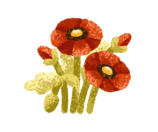 Vector red poppy flowers summer blooms floral plant delicate beautiful blossoms gentle papaver garden stems buds with tender petals botanical flat vector illustration isolated on white background