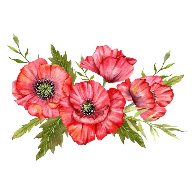 Red Poppy Flowers Watercolor Illustration Hand Painted Wildflowers Bouquet