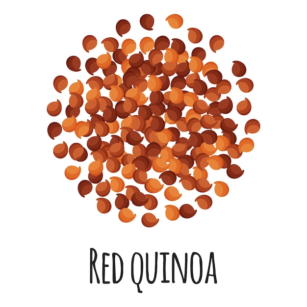 Red quinoa for template farmer market design, label and packing. Natural energy protein organic super food. Vector cartoon isolated illustration.