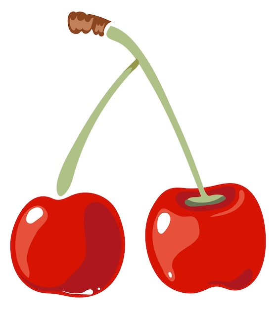 Red ripe berries Cherry pair cartoon icon