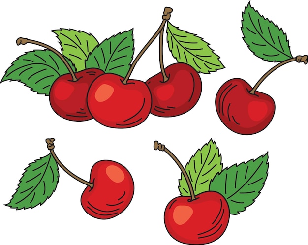 Red ripe cherries with green leaves