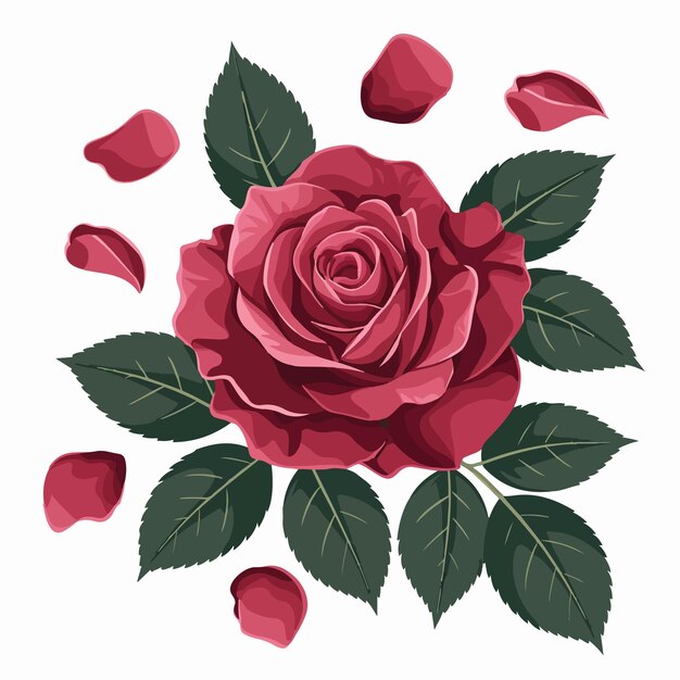 Vector red romantic rose flower isolated digital art on white background